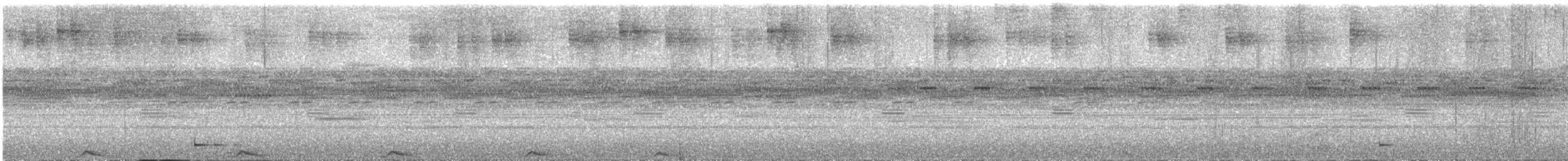 Mottled Owl - ML642730720