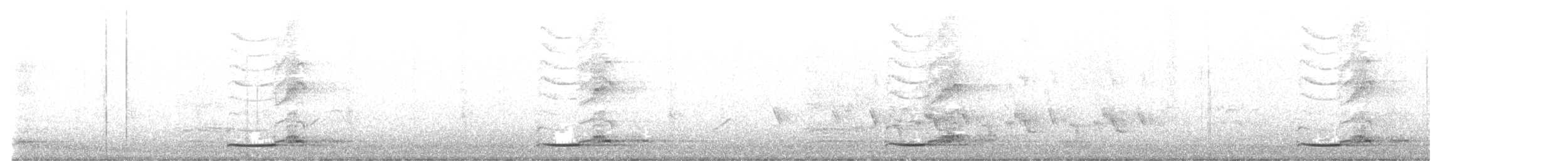 Pacific Koel - ML642731115