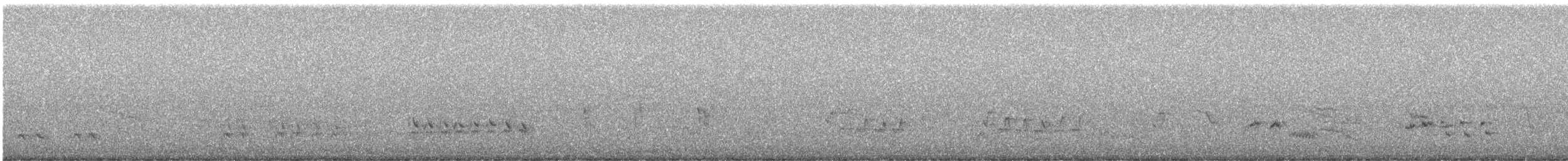 Northern Mockingbird - ML642731226