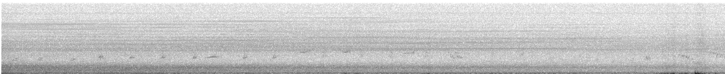 Northern Mockingbird - ML642731433