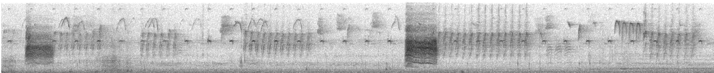Carolina Wren - ML642731829