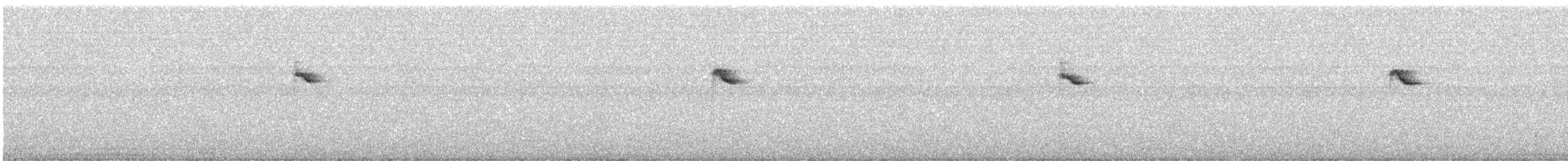 White-browed Warbler - ML642732319