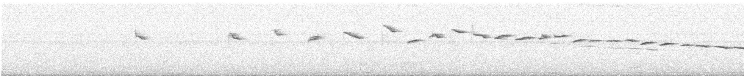 White-browed Warbler - ML642732405