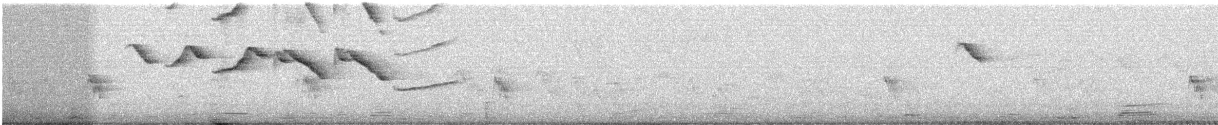 Tangara sayaca - ML642732530