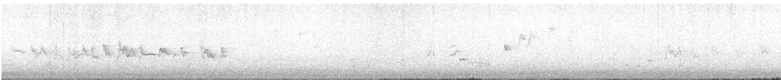 Silvereye - ML642732962