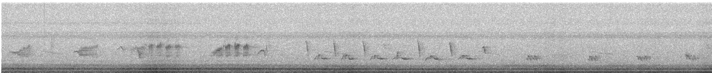 Northern Mockingbird - ML642733819