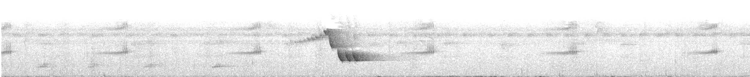 Bay Wren - ML642734321