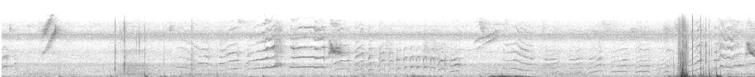 Black-striped Woodcreeper - ML642734440