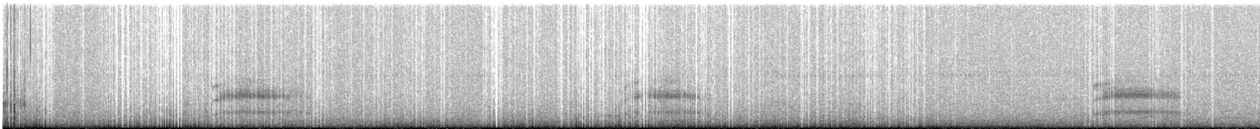 Ocellated Crake - ML642735385