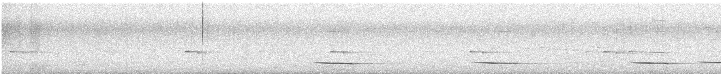 White-winged Chough - ML642736052