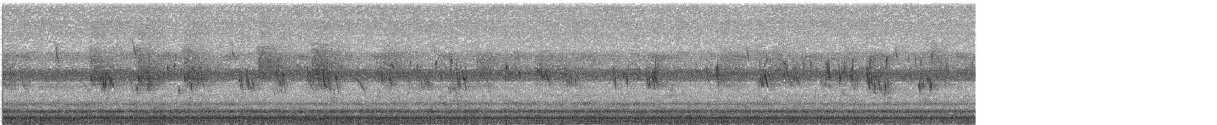 Hirondelle bicolore - ML642736164