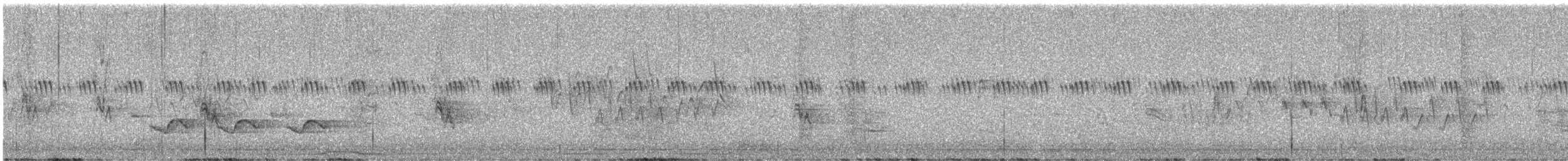 Aves sp. - ML642736995