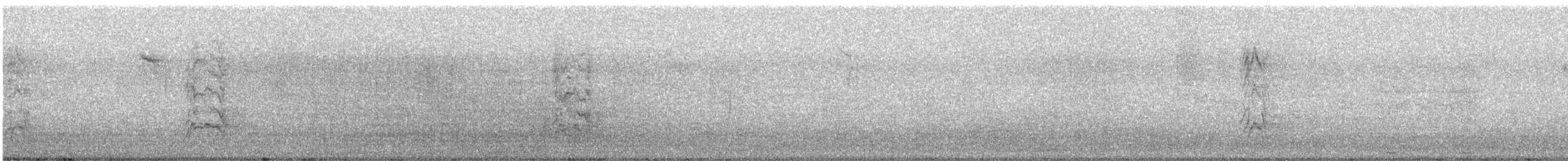 Burrowing Parakeet - ML642737011