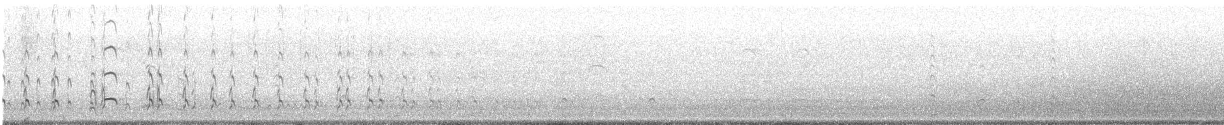 Blackish Oystercatcher - ML642738105