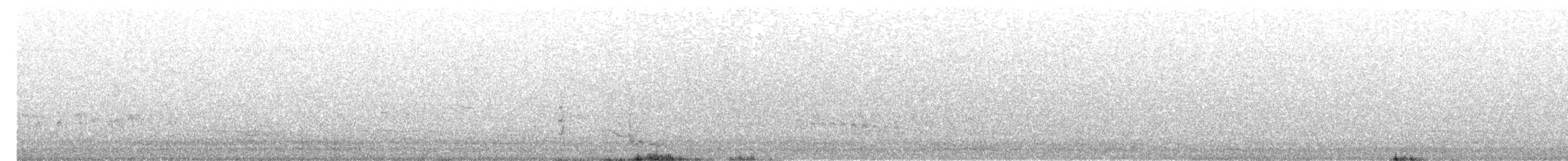 Fan-tailed Cuckoo - ML642739981
