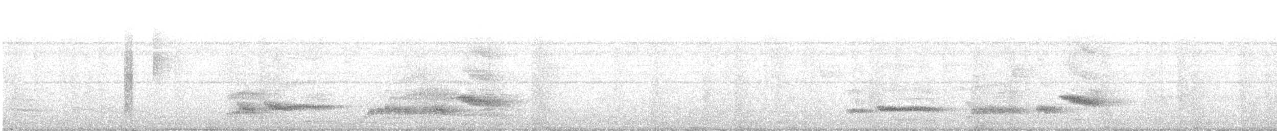 Tropical Mockingbird - ML642740888
