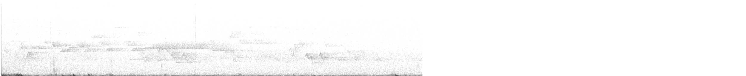 フユミソサザイ - ML642741517