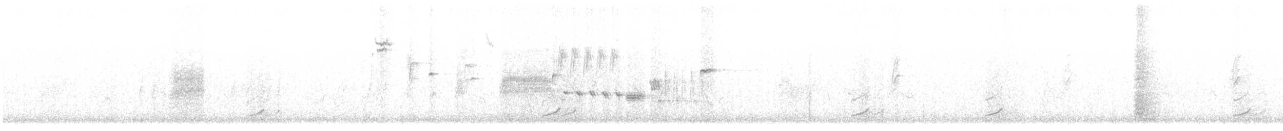 Phénopèple luisant - ML642741730