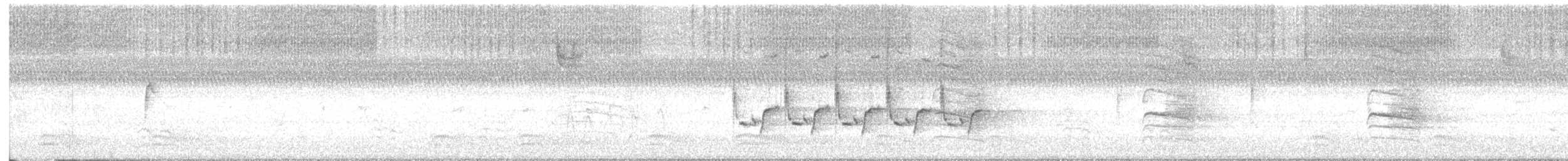 Carolina Wren - ML642741853