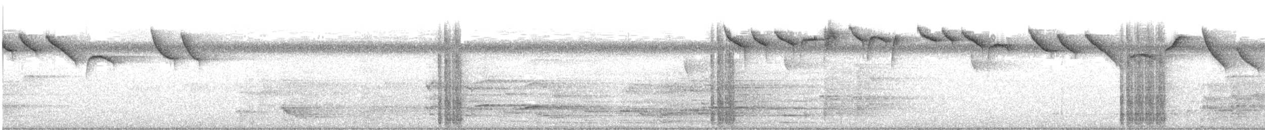 Band-tailed Barbthroat - ML642741887