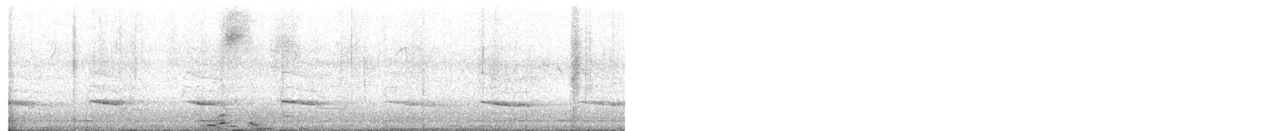 Red-shouldered Hawk - ML642741888