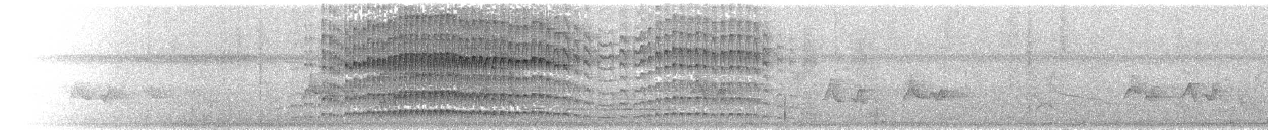 Apical Flycatcher - ML642743372