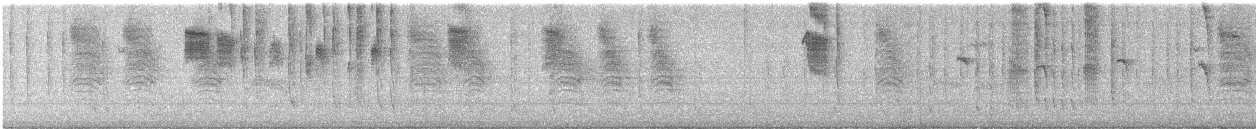 Northern House Wren - ML642744471