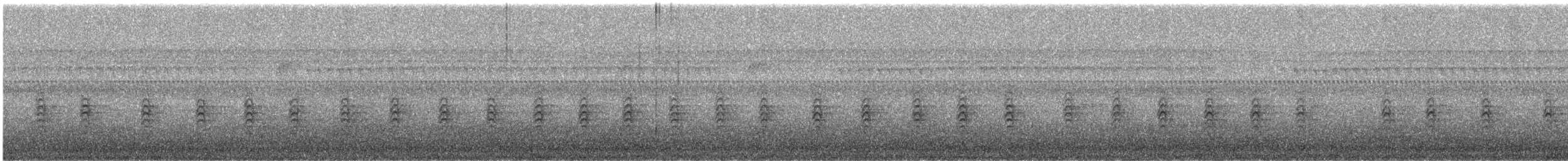 Red-breasted Nuthatch - ML642744544