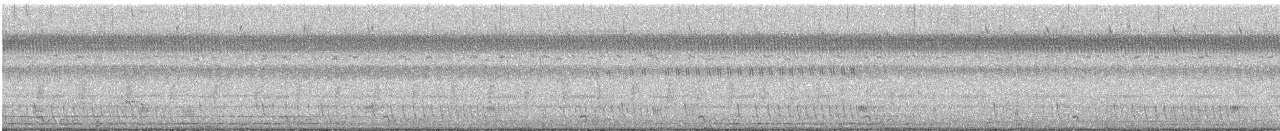 Jerdon's Nightjar - ML642744702