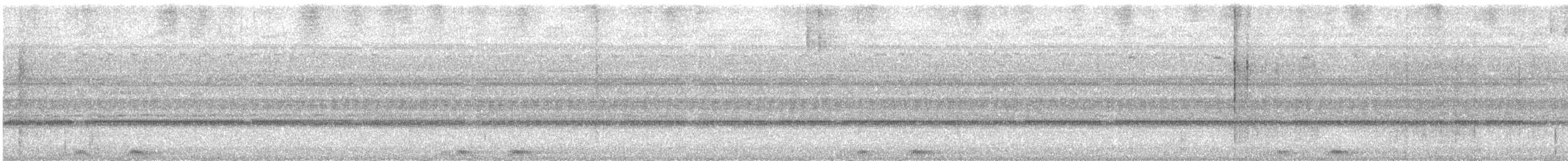 Хальмахерская иглоногая сова - ML642744781