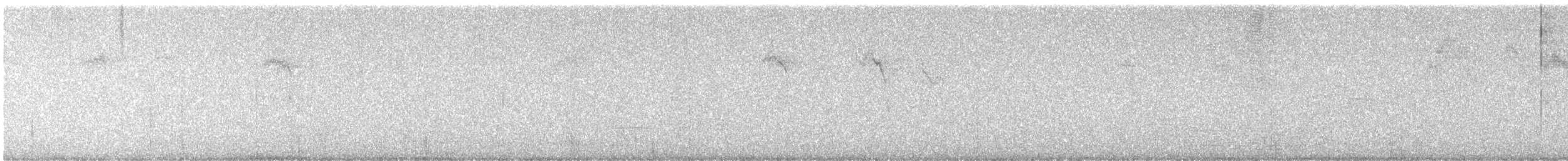 ponderosaparula - ML642744964