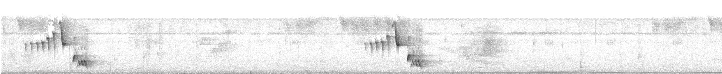 Troglodyte à calotte noire - ML642745023