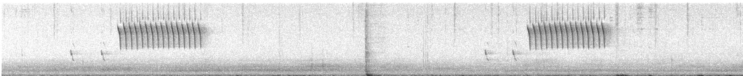 フタスジスズメモドキ - ML642745453