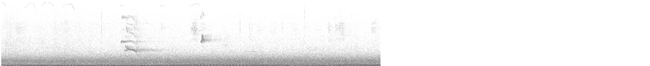 datel zlatý - ML642745720