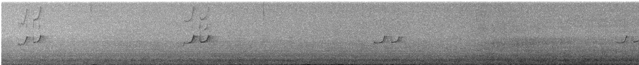 Solitary Sandpiper - ML642745816