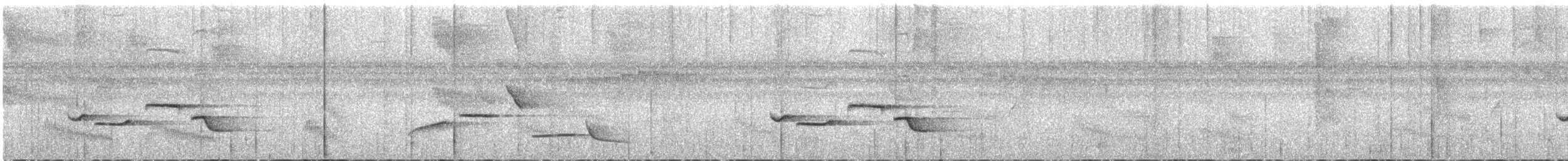ムナジロモリミソサザイ - ML642746045