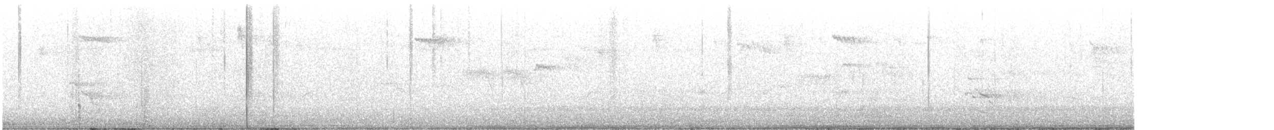 datel zlatý - ML642746642