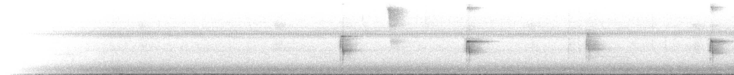 Hairy Woodpecker - ML642747363