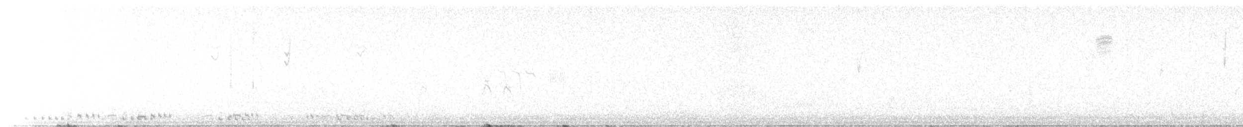 Sandhill Crane - ML642747717