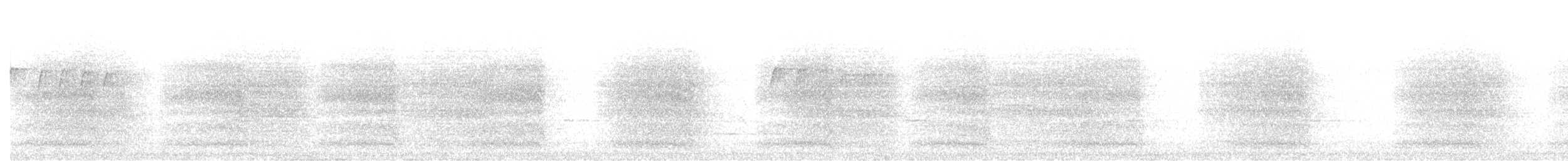 Baudin's Black-Cockatoo - ML642748247