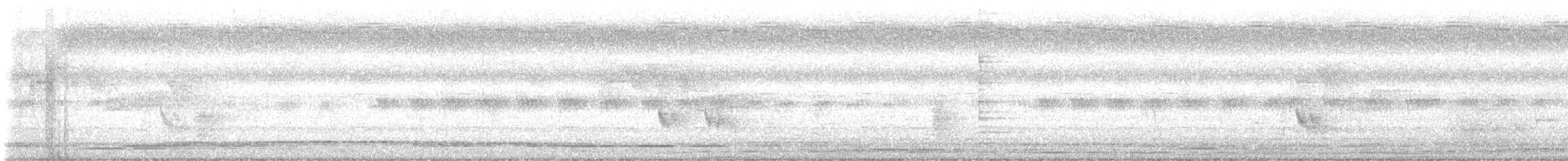 Loten's Sunbird - ML642748528