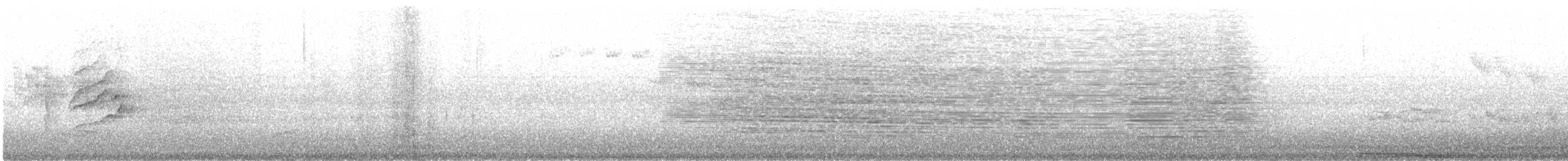 Cardellino - ML642748701