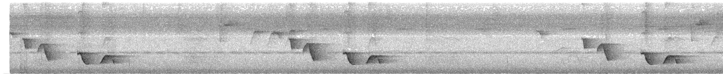 Buff-breasted Wren - ML642749135