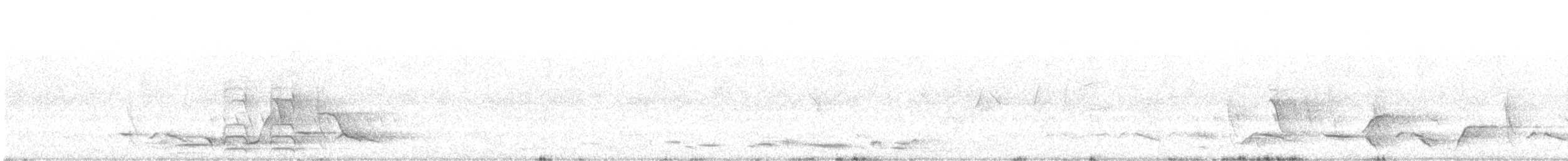 Gray Shrikethrush - ML642749231