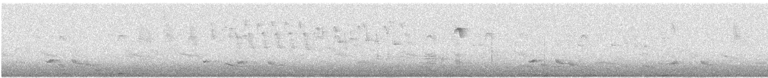 Cape White-eye - ML642749625