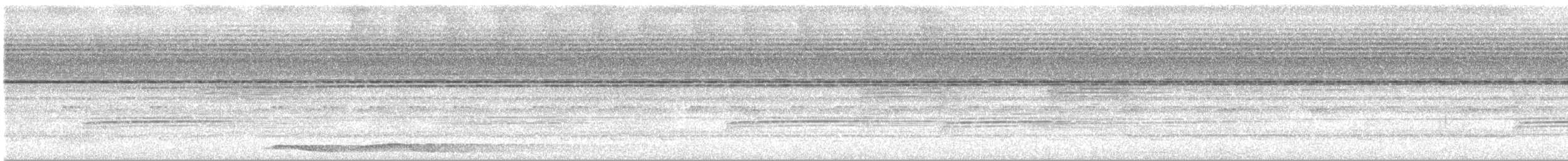 Great Argus - ML642750602