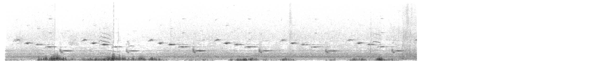 Chiming Wedgebill - ML642751705