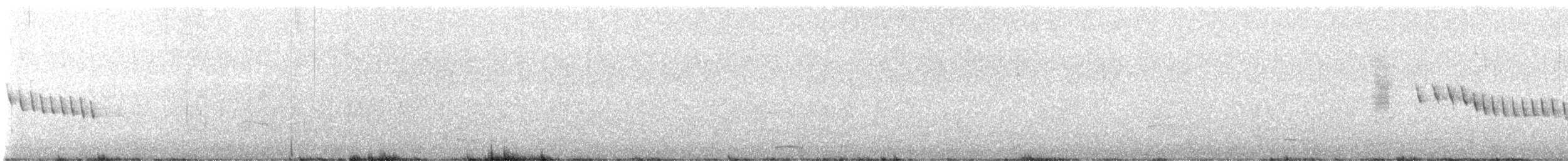 Brown Thornbill - ML642751745