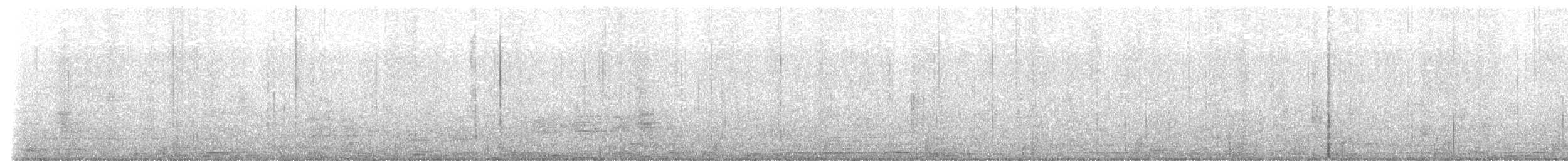 Bergeronnette grise - ML642751906