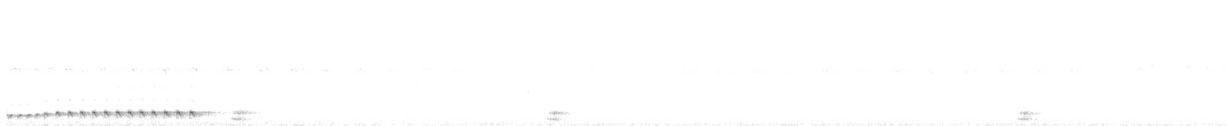 Chotacabras Bigotudo - ML642751961